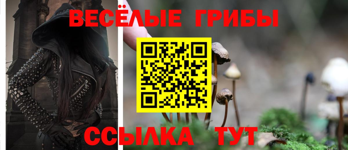 Псилоцибиновые грибы MAGIC MUSHROOMS  Вход с VPN  Набережные Челны 